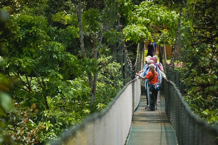 Puentes colgantes de San Luis - Imagen 3