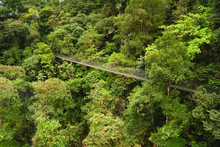 Puentes colgantes de San Luis - Imagen 4