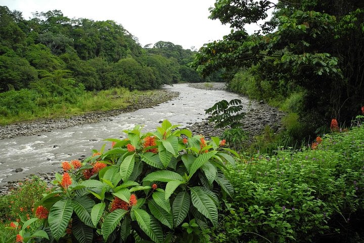 Safari Float Sarapiqui River From San Jose - Imagen 4
