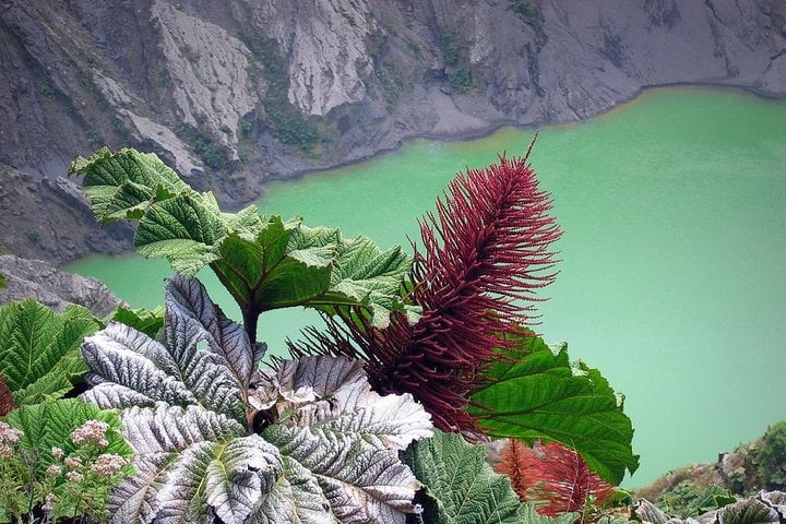 Volcán Irazú, Orosi y Lankester - Imagen 2