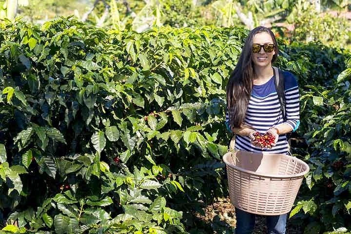 Doka Coffee Tour: Grecia y Sarchí - Imagen 3