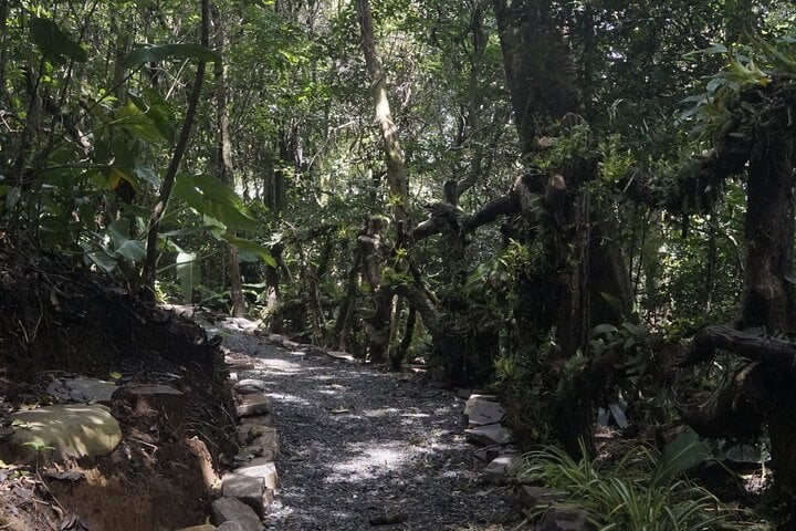 Guided Local Experience in Monteverde - Imagen 3