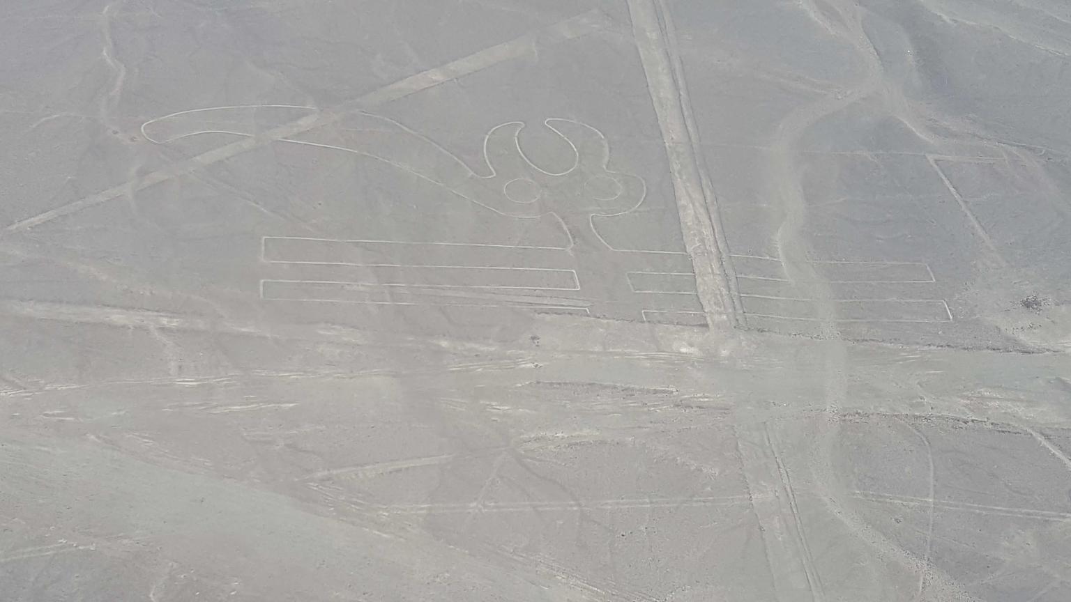 Líneas de Nazca desde Lima: día completo - Imagen 3