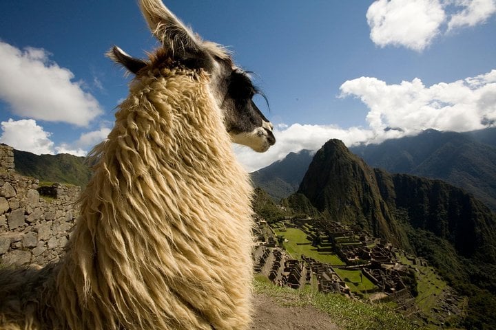 Machu Picchu em 1 dia saindo do Vale Sagrado - Imagen 4