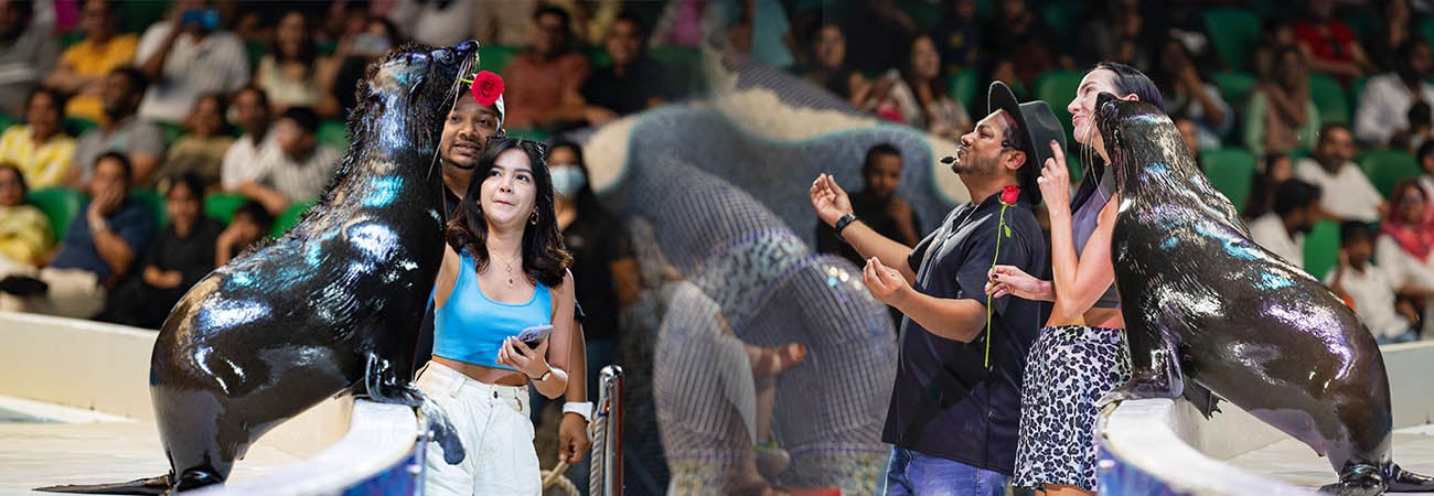 Show de golfinhos e focas em Dubai - Imagen 3