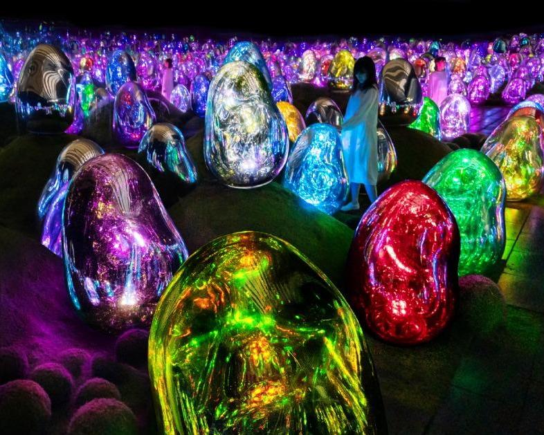 Entrada a TeamLab Planets TOKYO DMM - Imagen 2