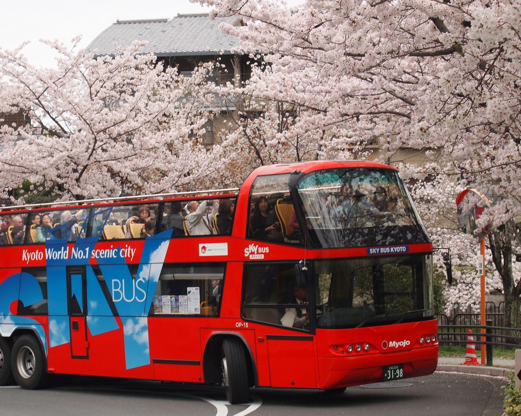 Sky Hop Bus Kyoto (Hop-on Hop-off Bus Kyoto) - Imagen 4