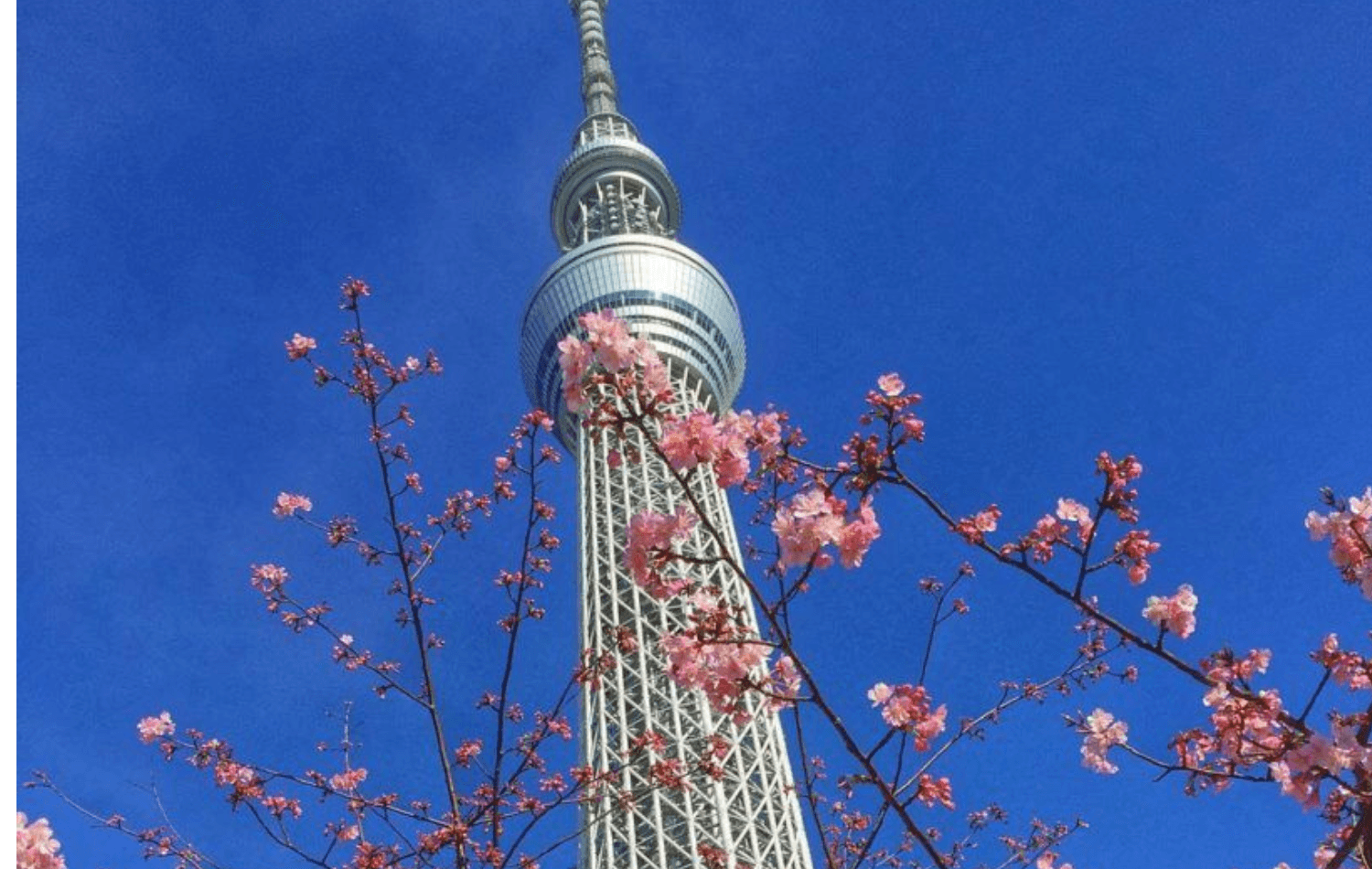 Skytree Enjoy Pack e metrô de Tóquio 24 h - Imagen 2