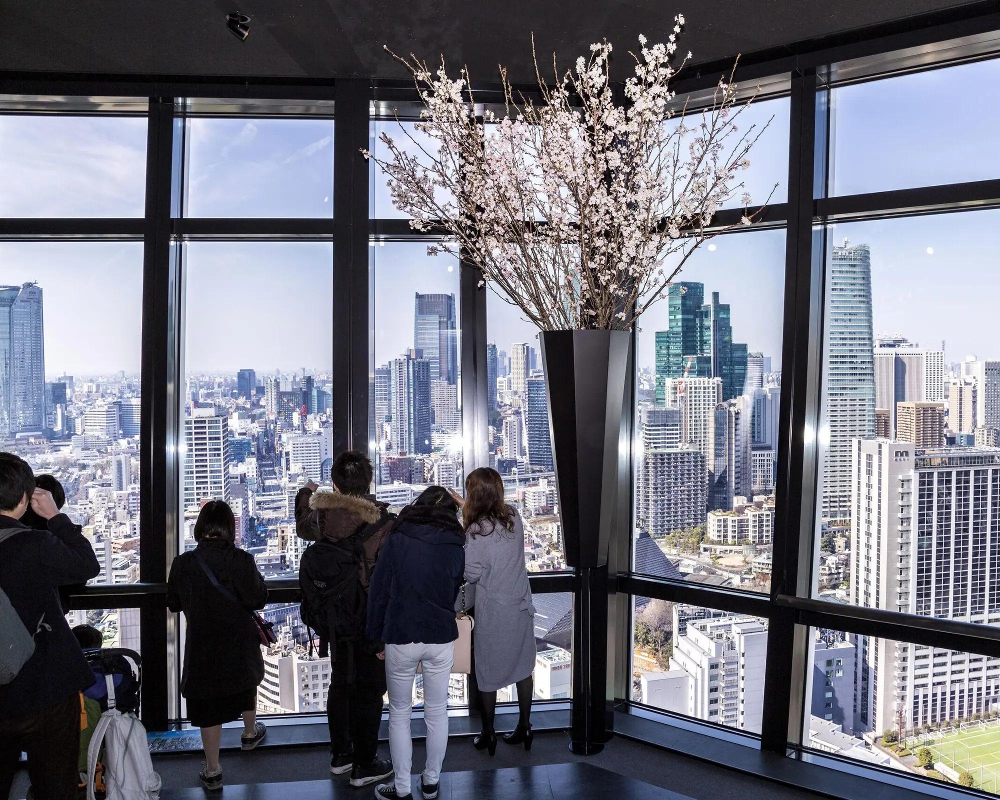 Tokyo Tower Observatory Admission Ticket - Imagen 3