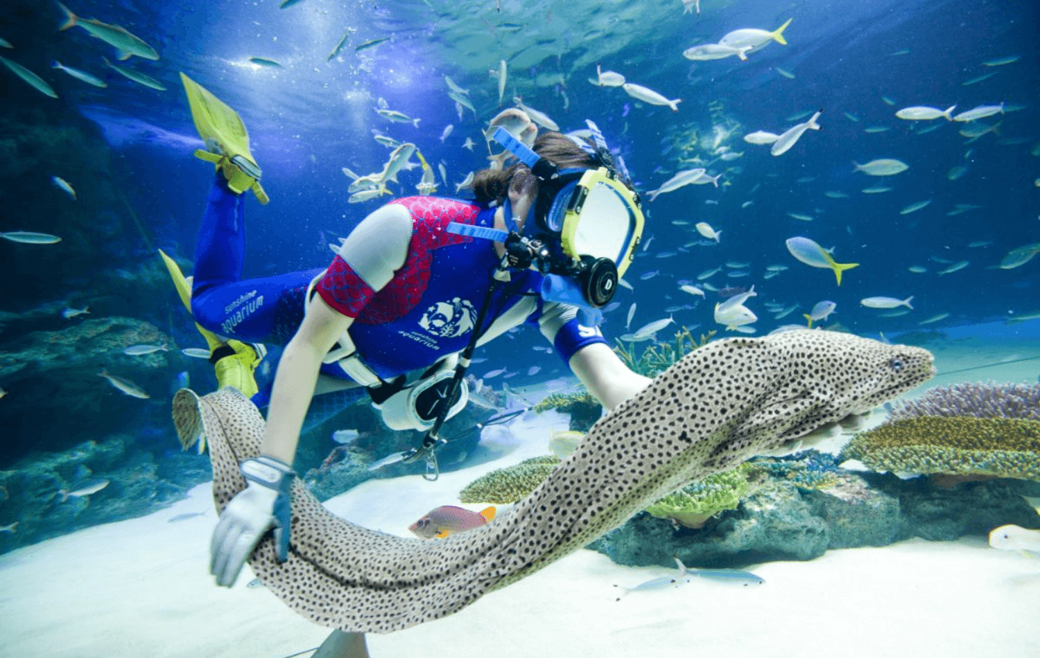 Sunshine Aquarium - Imagen 4