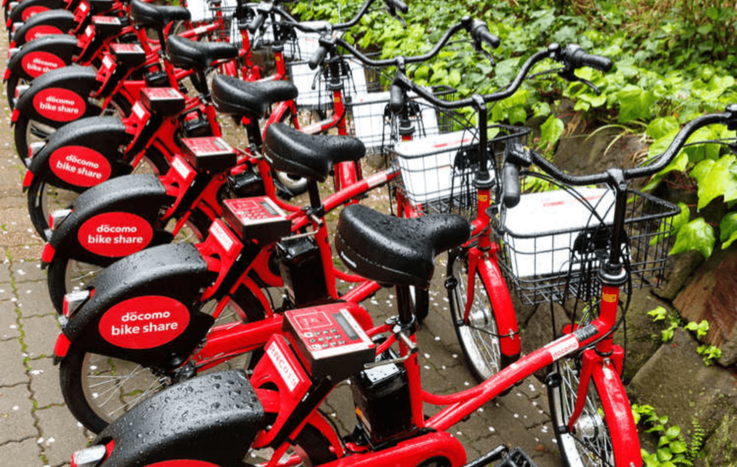 Tokyo Cycling Tour by Electric Powered Bike - Imagen 4