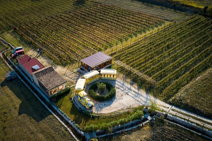 Vale de Konavle: trem e degustação de vinhos - Imagen 3