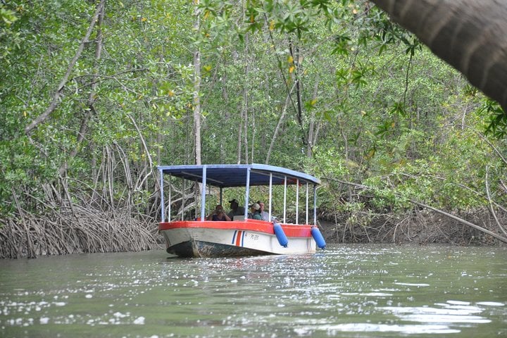 Ilha Damas de barco saindo de Manuel Antonio - Imagen 2