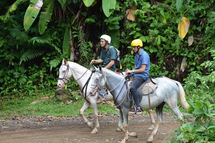 Passeios a cavalo com Manuel Antonio - Imagen 4