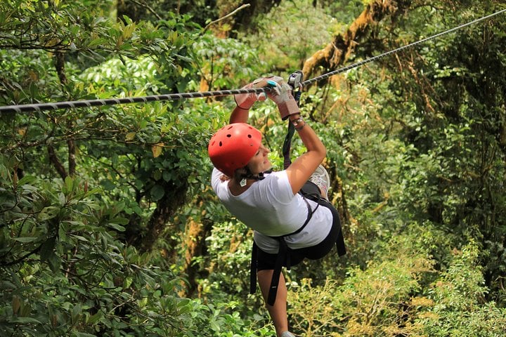 Monteverde: aventura nas árvores - Imagen 2