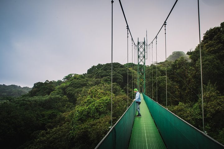 Paseo aéreo desde Monteverde - Imagen 4