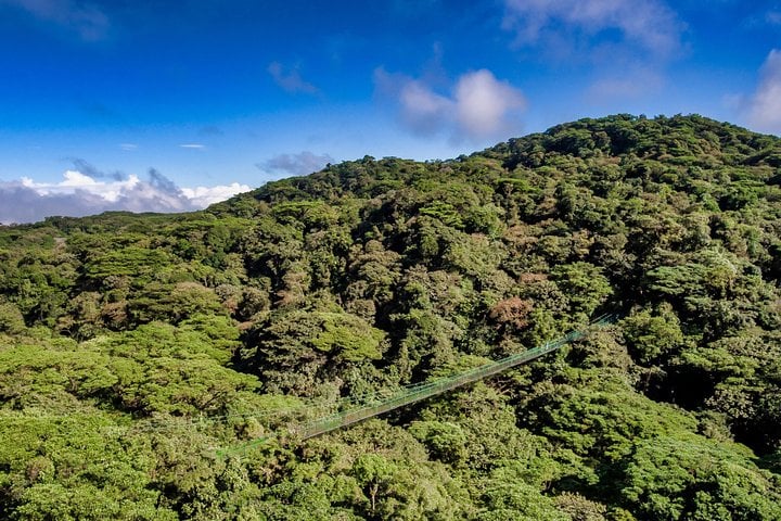 Tirolesa y puentes colgantes en la selva - Imagen 3