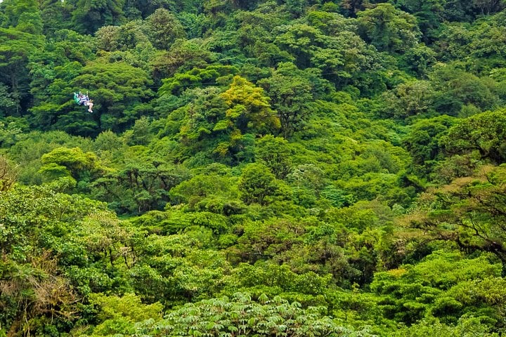 Tirolesa y puentes colgantes en la selva - Imagen 4