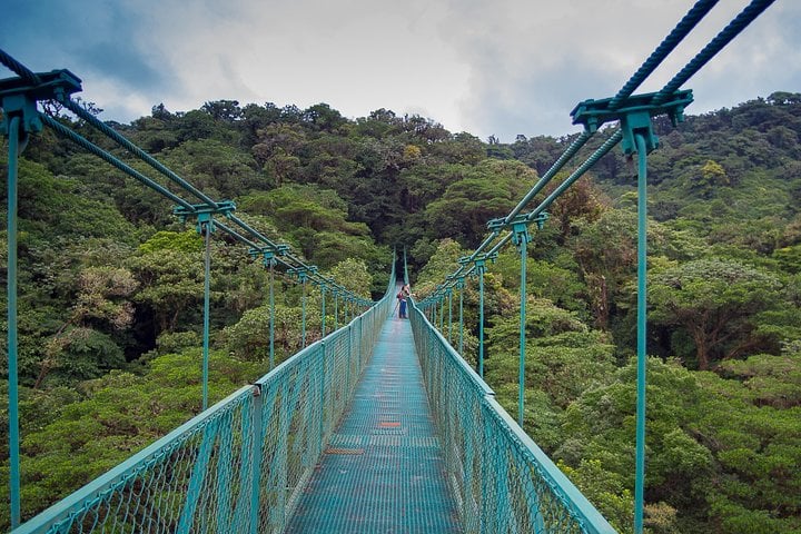 Tirolesa y puentes colgantes en la selva - Imagen 2