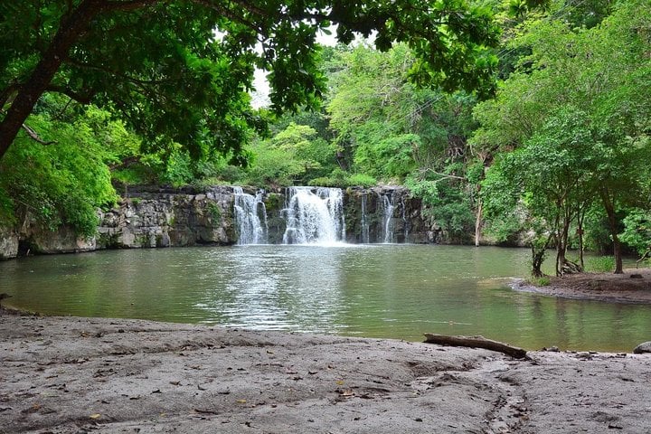 Aventura de perezosos desde Guanacaste - Imagen 3