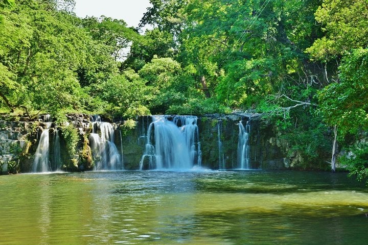 Aventura de perezosos desde Guanacaste - Imagen 4