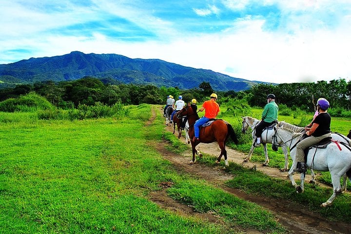 Mega Combo Buena Vista desde Guanacaste - Imagen 3