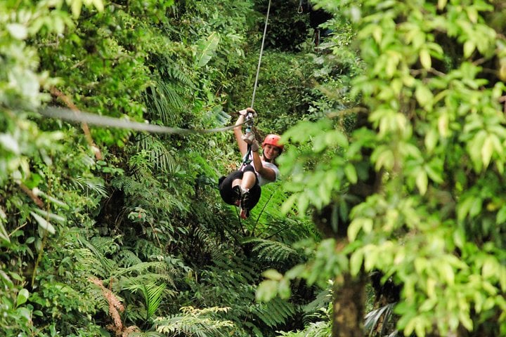 Selvatura Park Combo Tour De Monteverde - Imagen 2