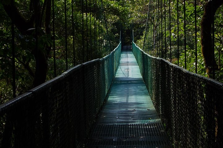 Selvatura Park Combo Tour De Monteverde - Imagen 3
