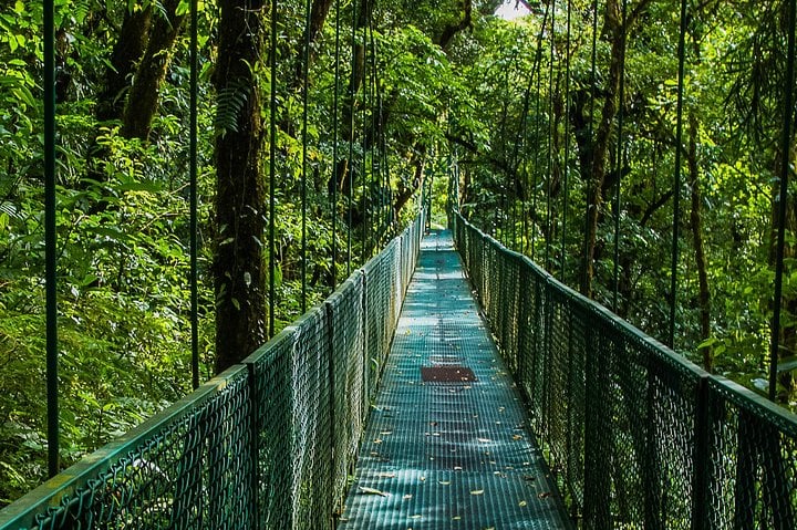 Selvatura Park Combo Tour De Monteverde - Imagen 4