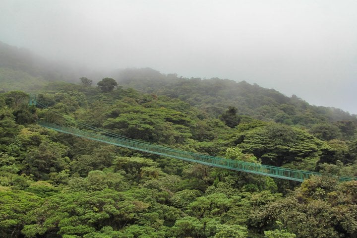 Puentes colgantes con guía - Imagen 3