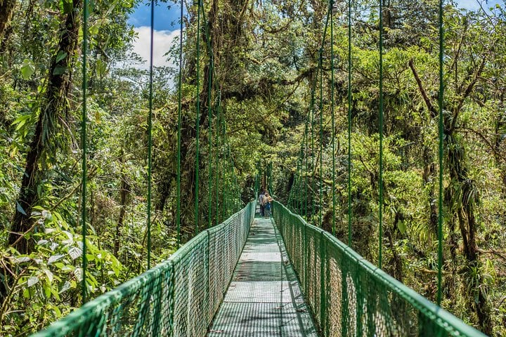 Puentes colgantes con guía - Imagen 4
