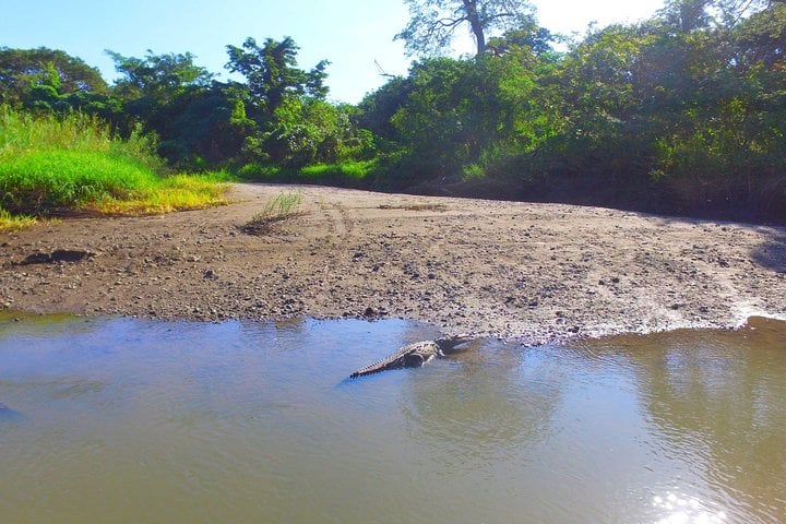 Palo Verde RiverRide From Guanacaste - Imagen 3