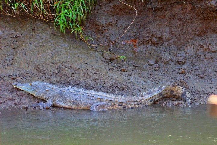 Palo Verde RiverRide From Guanacaste - Imagen 4