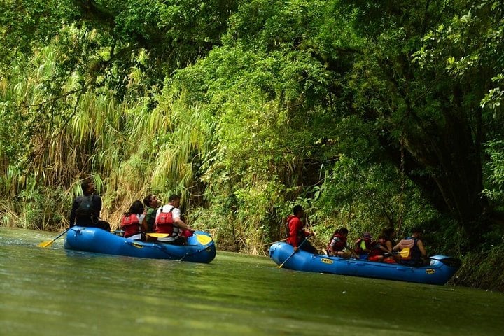 Safari en balsa por el río Sarapiquí - Imagen 2