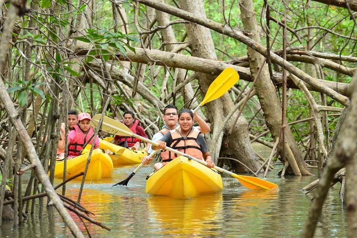 Kayak a isla Damas desde Manuel Antonio - Imagen 3