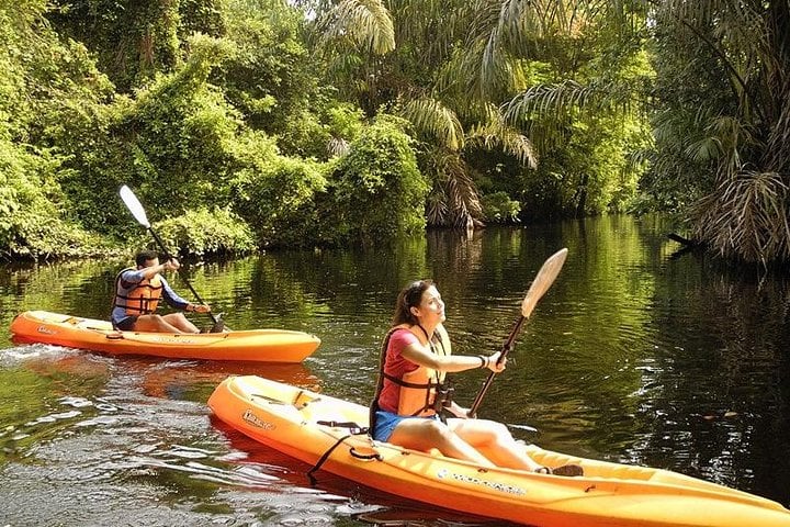 Kayak a isla Damas desde Manuel Antonio - Imagen 2