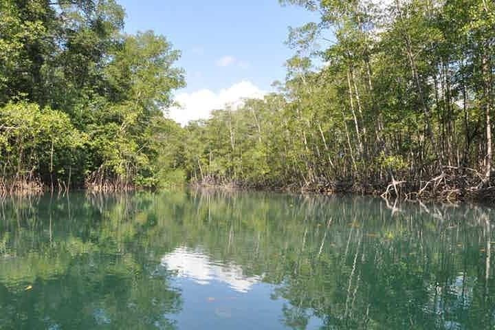Kayak a isla Damas desde Manuel Antonio - Imagen 4