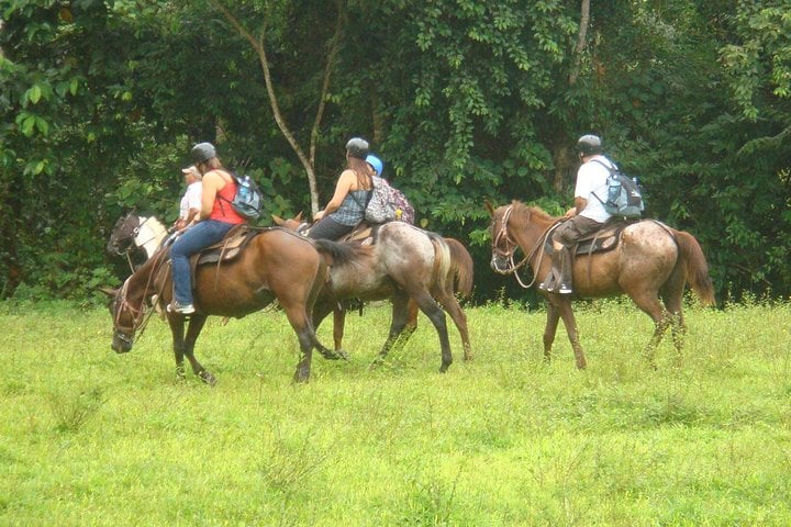 A cavalo até a cachoeira La Fortuna - Imagen 2