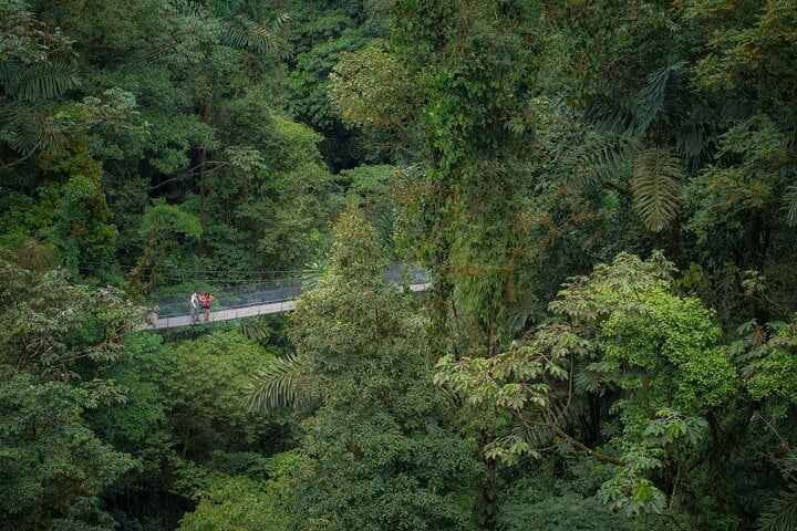 Puentes colgantes de Arenal desde Arenal - Imagen 4