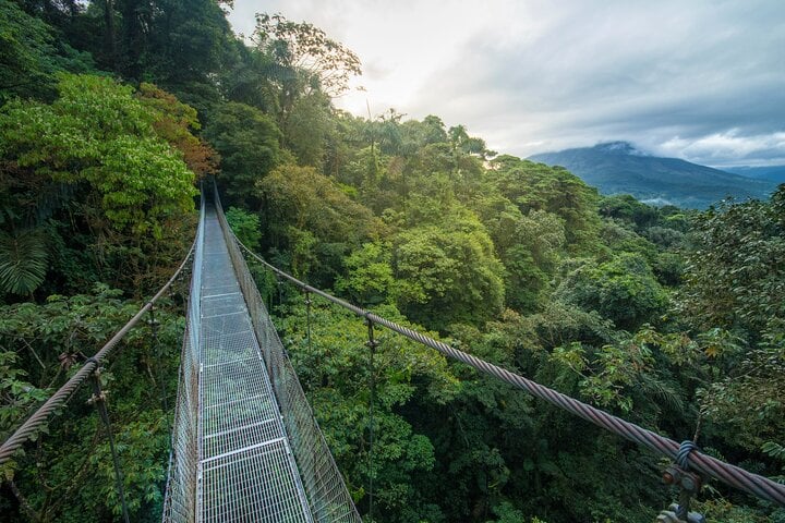 Puentes colgantes de Arenal desde Arenal - Imagen 2