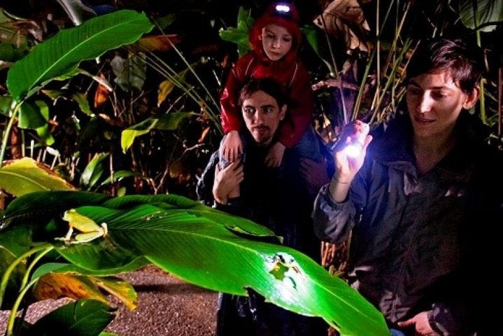 Passeio noturno pelo Oásis de Arenal - Imagen 2