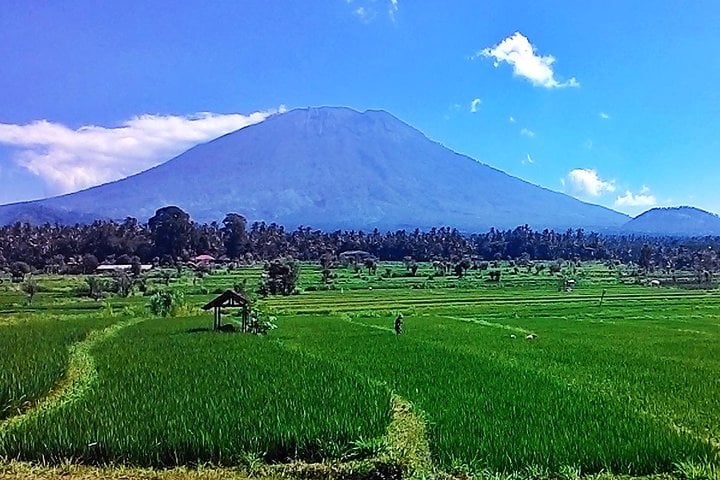Full Day Wonders of Bali Private Tour - Imagen 2