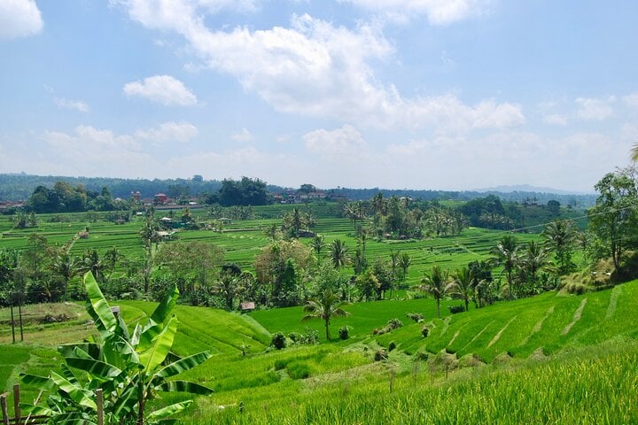 Full Day Wonders of Bali Private Tour - Imagen 4