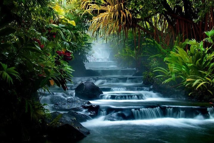 Volcán Arenal y termas Ecotermales - Imagen 3