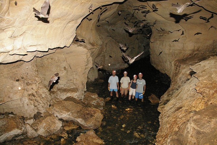 Cuevas de Venado desde Arenal - Imagen 4