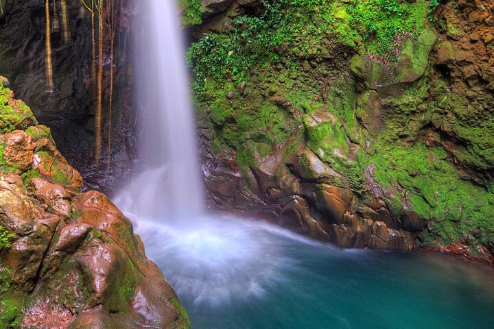 Maravillas de la Tierra desde Guanacaste - Imagen 4