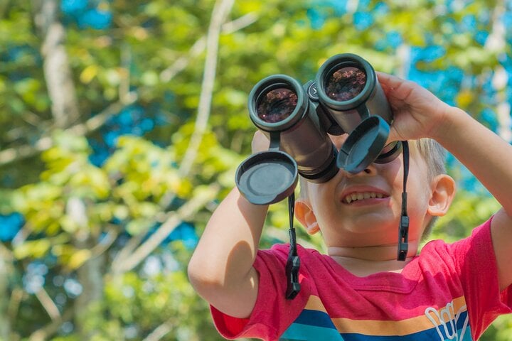 Sloth Watching from Arenal - Imagen 4