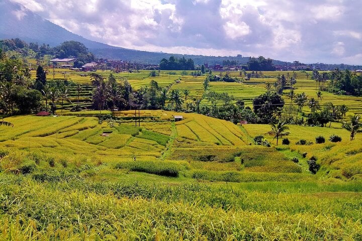 Maravillas de Bali: día completo en grupo - Imagen 4