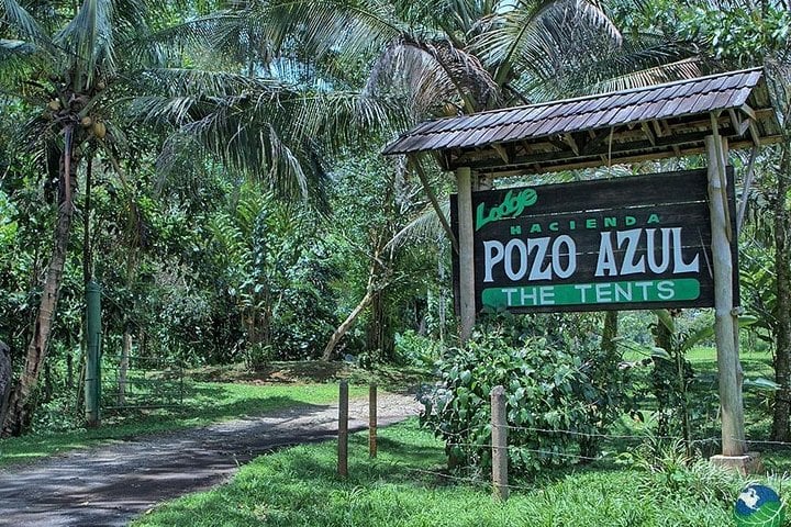 Canopy por la selva de Sarapiquí - Imagen 4