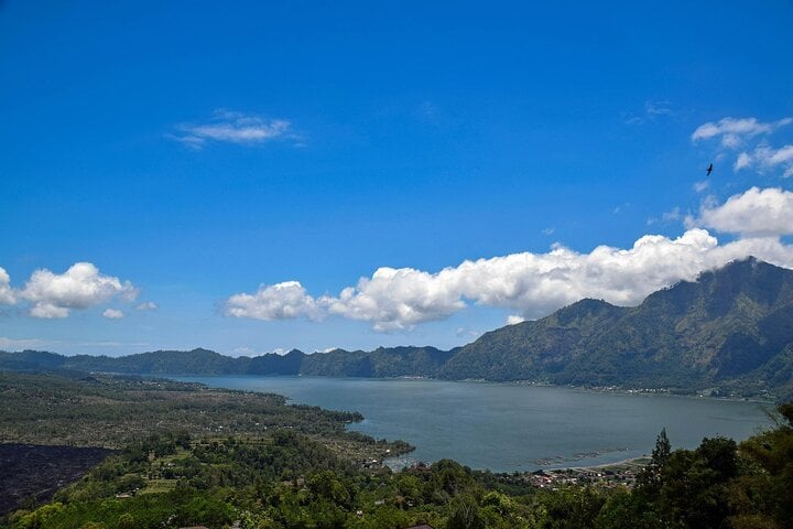 Bali en un día: tour introductorio - Imagen 3